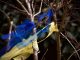 Rosyjska armia orków niesie śmierć w Ukrainie